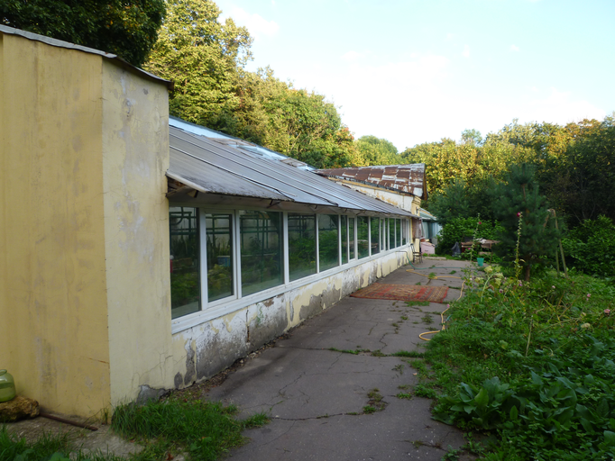 Старая оранжерея (Ясенево))